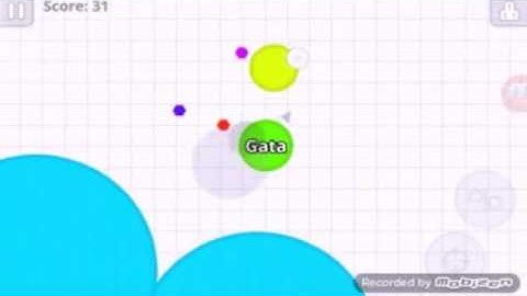 AGAR.IO