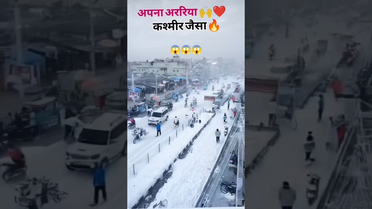 apna Araria कश्मीर जैसा😱☺️| mini vlog shorts| 