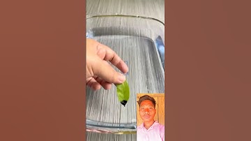 Pen ink experiment #lifehacks