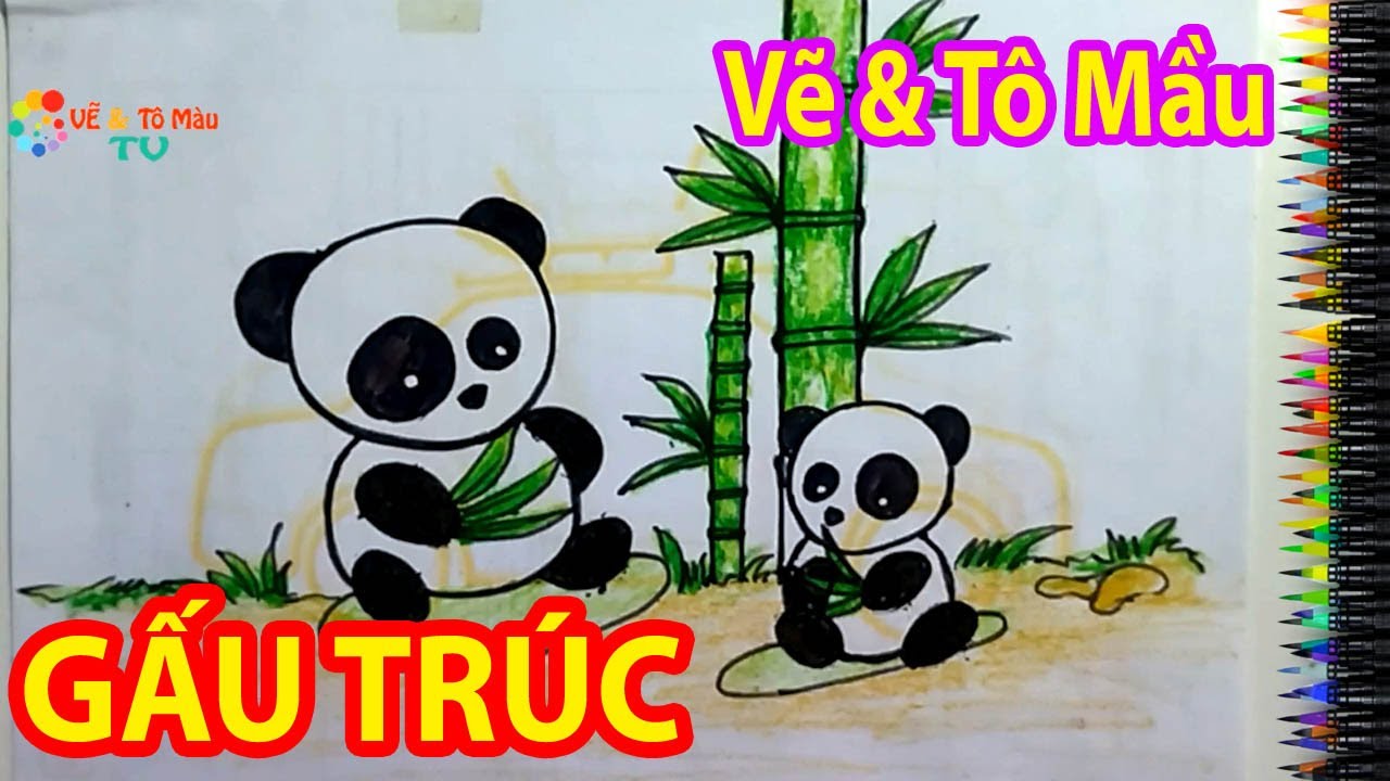 Bạn muốn biết cách vẽ một con gấu trúc dễ thương và đơn giản? Hãy xem hình ảnh này! Với những hướng dẫn chi tiết và dễ hiểu, tất cả mọi người đều có thể vẽ được con gấu trúc đáng yêu này.