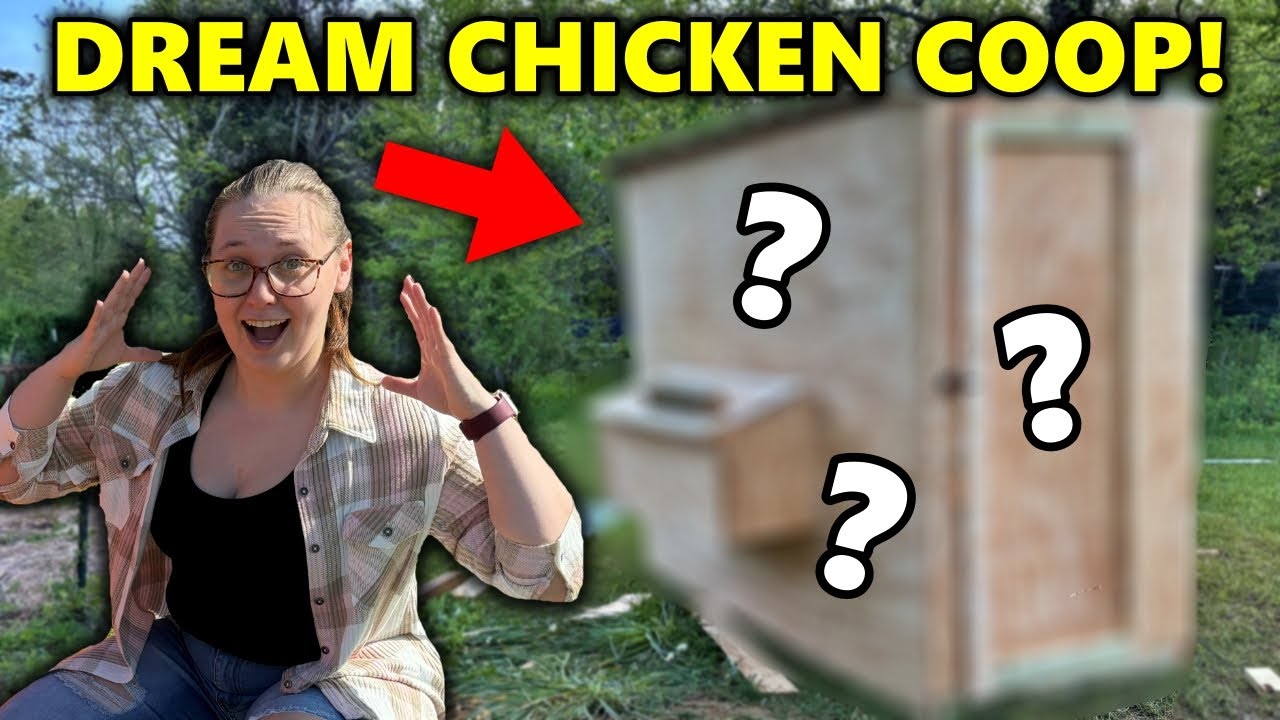I Built My Girlfriend Her DREAM CHICKEN COOP for Her Birthday!