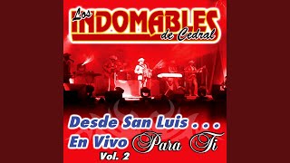 Video thumbnail of "Los Indomables de Cedral - Cuartazo al Macho (En Vivo)"