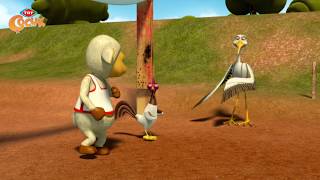 Kuzucuk - Kuzucuk Olimpiyatları