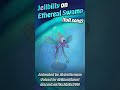 Jellbilly on ETHEREAL SWAMP | ANIMATED #mysingingmonsters