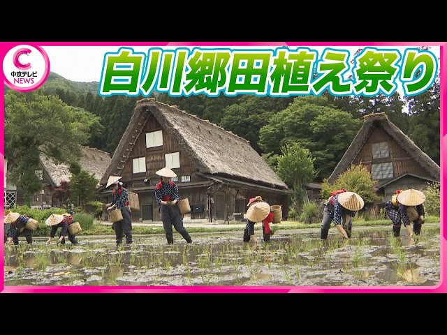 世界遺産で昔ながらの田植え 観光客「楽しいし懐かしい」 岐阜・白川郷