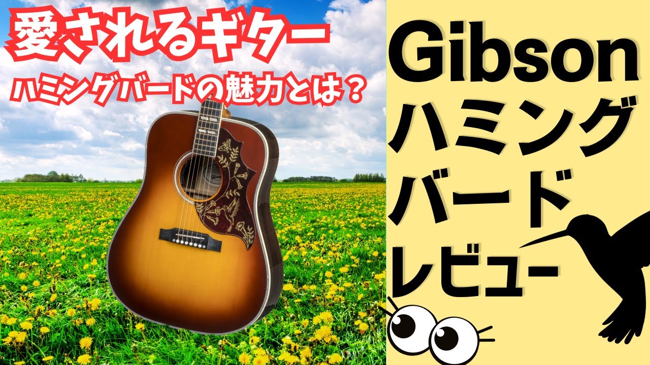 カントリーしようぜ！希少EL Martin ハミングバード エレアコ 音