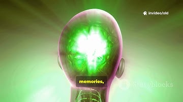 Why Your Dreams Feel So Real — The Hidden Language of the Subconscious