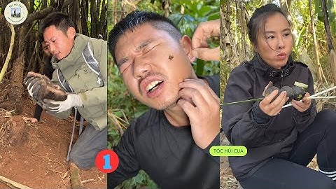 TRỌN BỘ FULL TẬP 1 :Sinh Tồn ở BORNEO rừng mưa nhiệt đới thử thách 15 ngày