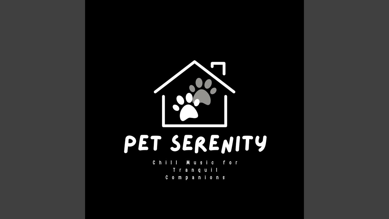 Whispers of Gentle Pet Comfort