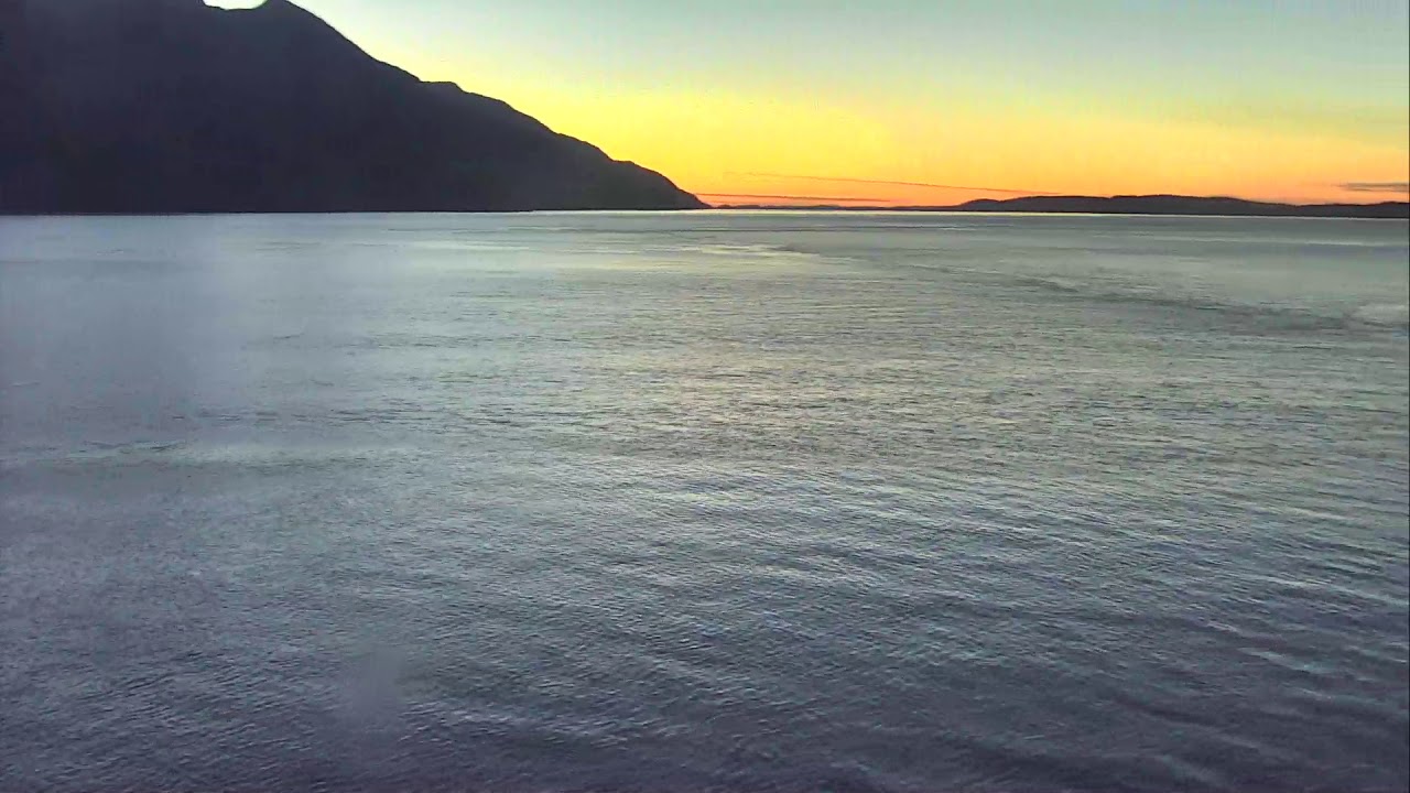 camera iphone 8 plus apk Robson Bight Orca Lookout Cam 09-22-2018 19:47:53 - 20:30:02