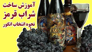 آموزش درست کردن شراب قرمز و انتخاب انگور - How to make Red Wine