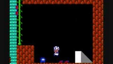 Super Mario Brothers Game Genie Code Effects 2