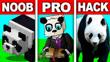 Noob vs Pro vs Hacker! Panda! Pixel Art