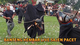 Bantengan Ngamuk Banteng Kembar Live Sajen Pacet Mojokerto