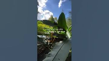 _القرآن الكريم_ ماتيسر _من سورة _ الفرقان #اكسبلور 7)اللهم صل وسلم وبارك على نبينا محمد _