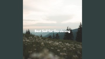 Background for Thoughtful Vibes