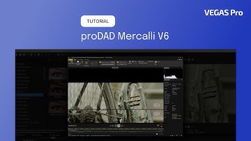 proDAD Mercalli V6 x VEGAS Pro 21 | Step-by-step guide for video stabilization
