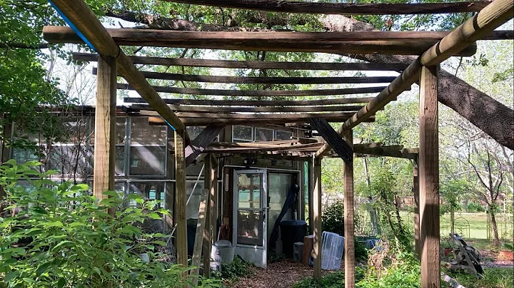 Tour of William Youngbloods Greenhouse and 38 Resc...