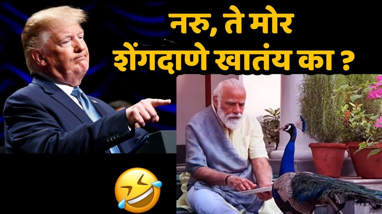 मोदीभाऊ, मोर अन् खउट शेंगदाणे 😂 | Modi With Peacock | Modi and Trump Latest Funny Marathi Dubbing |