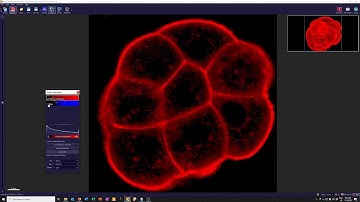 Introduction to Imaris Viewer