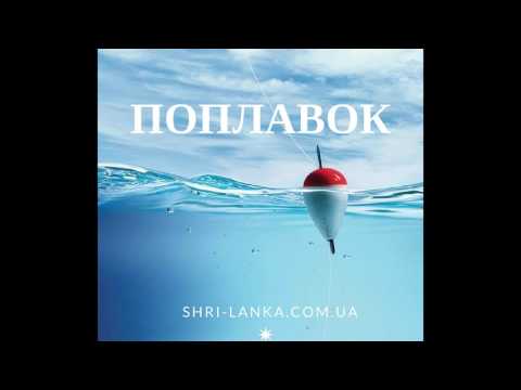 Сайт с поплавками Сайт с поплавками