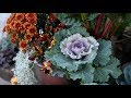 Planting Fall Containers 🍂(Pt 1) // Garden Answer