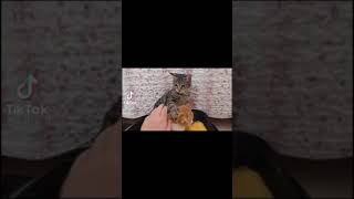 Kıskançlık Seviyem