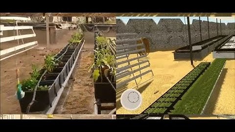 Aquaponics Digital Twin