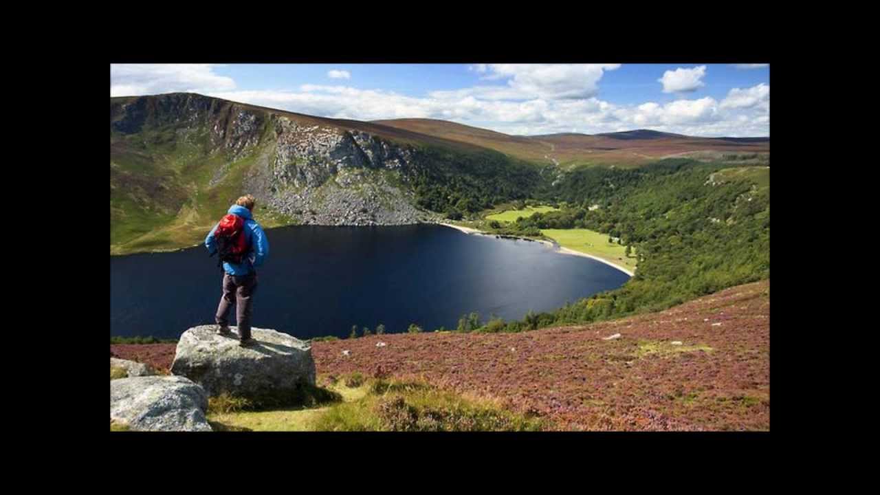 Camel Fingertips.wmv YouTube