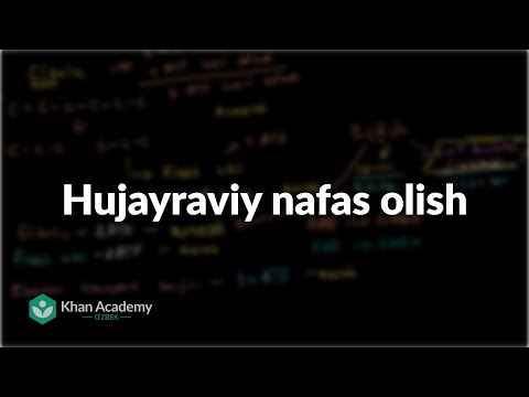 Video: Mitoxondriyaning tuzilishi hujayraning nafas olishi uchun qanday ahamiyatga ega?