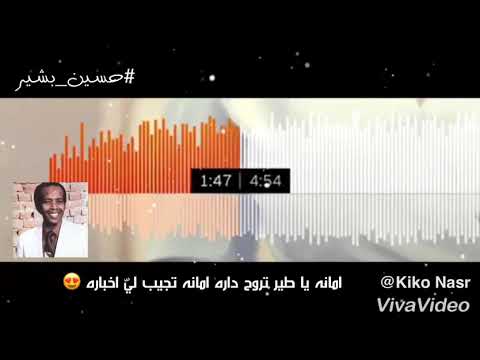 حسين بشير سمارة اللون