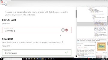 Epic Games Name Change Glitch!