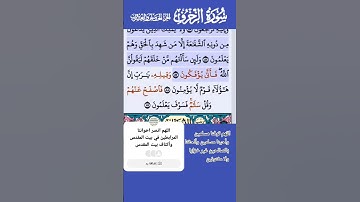سورة الزخرف الاية86-87 فارس عباد