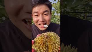 3 Tips for Picking the Perfect Durian!!
