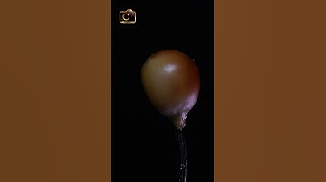 Popcorn Close-up ASMR ...  #macro #asmr #shorts