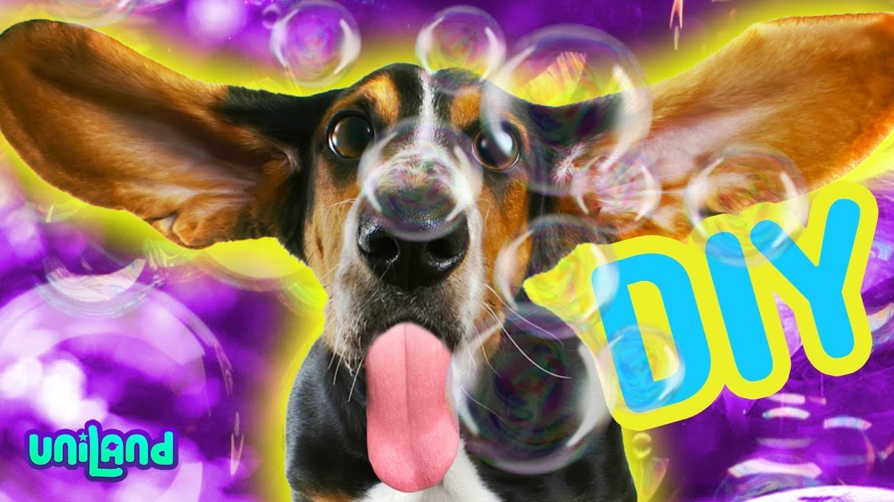 Are Bubbles Safe For Dogs