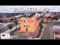 Palmeira pr