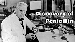 28th September 1928: Alexander Fleming accidentally discovers penicillin