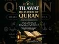 📖 Tilawat of Quran 🤍✨ #QuranRecitation #IslamicReminder #Peace #Tilawat #hadithheaven99