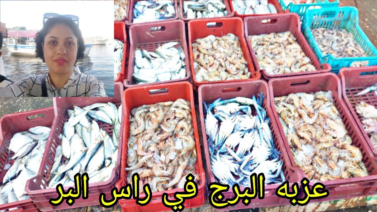 عزبة البرج مش للكل! وتحذير مهم لكل اللي رايح هناك🤔