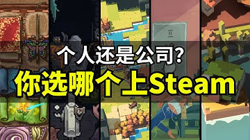 【Lee哥】个人 vs 公司：独立游戏上架Steam该怎么选？｜经验分享 | 游戏开发