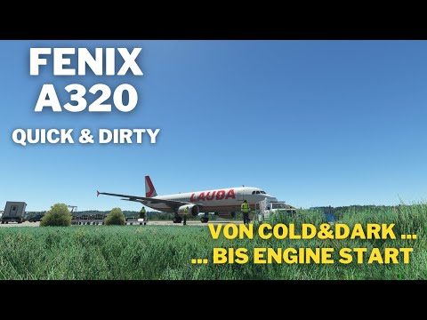 Fenix A320 | Quick & Dirty | Tutorial Deutsch | Von Cold & Dark bis Engine Start in 60 Minuten