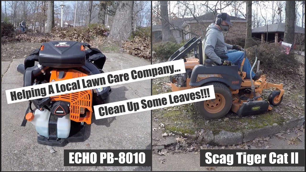 Leaf Cleanup ECHO PB8010 and Scag Tiger Cat II (Helping Another Lawn