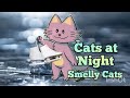 Fun Bedtime Story for Kids &amp; Toddlers - Cats at Night - Smelly Cats - Children&#39;s Sleep Meditation