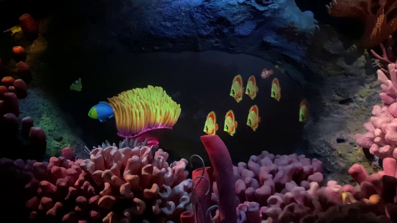 Epcot-the seas with Nemo and friends - YouTube