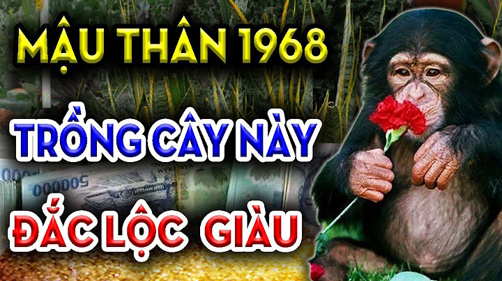 1968 mậu thân nữ hợp cây phong thủy nào năm 2024