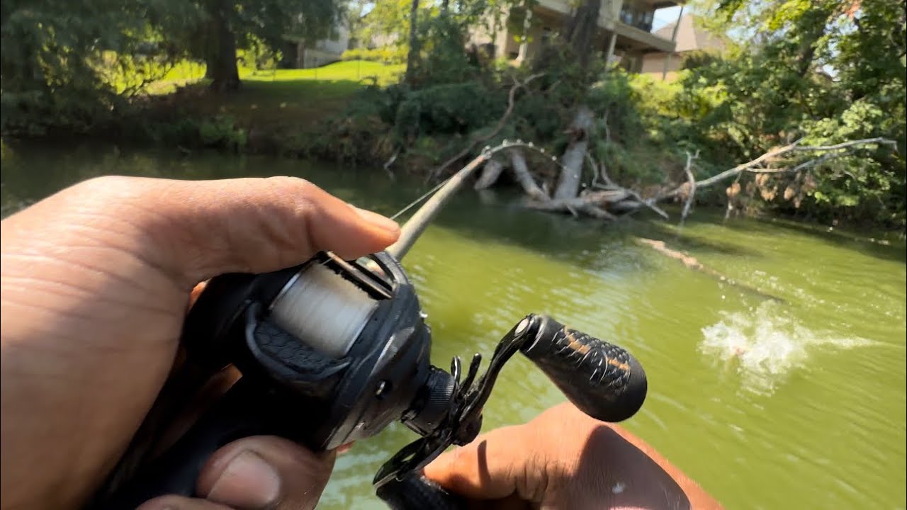 Jonboat bass fishing ponds with swimbaits #fishing #bassfishing #fish