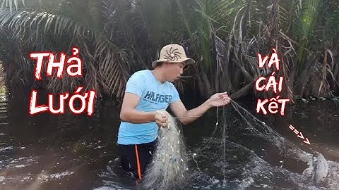 Thả Lưới Bắt Cá Trên Đồng Quê | Phạm Thịnh Vlog