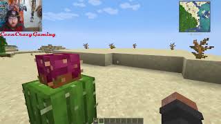 Minecraft Mod Reviews 2.0 (Revived) #272 - Ecologics