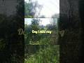 #vlog #cute #kishan #love #comedyvideos #viratkohlistatus
